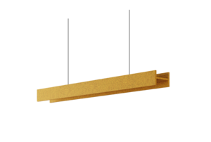 IPN – Image 3